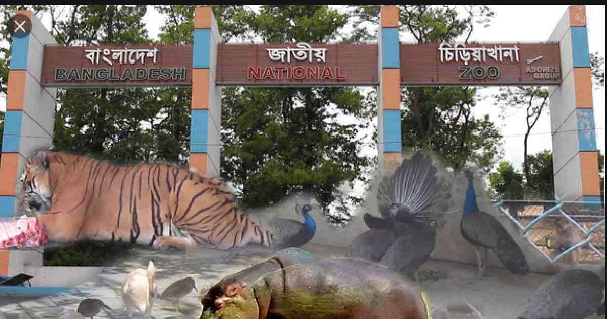 National Zoo to reopen from Nov 1