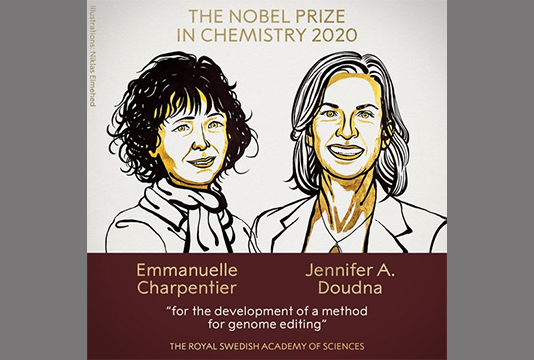 US-French duo win Nobel Chemistry Prize for gene editing tool