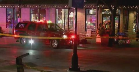 Vehicle plows into Christmas parade in US, killing multiple victims