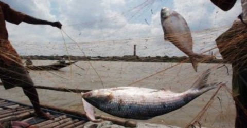 65-day fishing ban in Bay begins Friday
