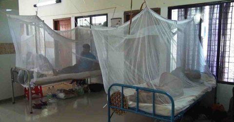 Dengue: 35 new patients hospitalised