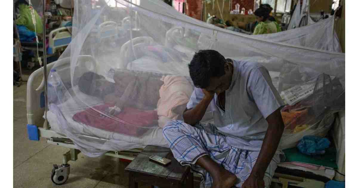 47 dengue new patients hospitalised as cases keep rising