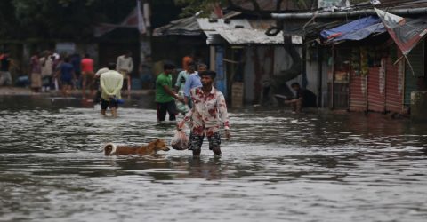 Flood death toll climbs to 42: DGHS