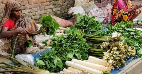 Summer vegetables appear abundantly in Rajshahi markets
