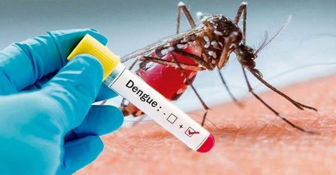 One dengue patient dies, 99 patients hospitalized in 24hrs