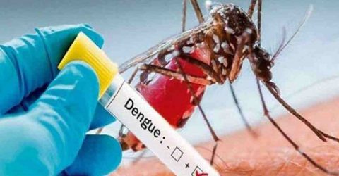 Dengue numbers keep rising: 93 new cases reported