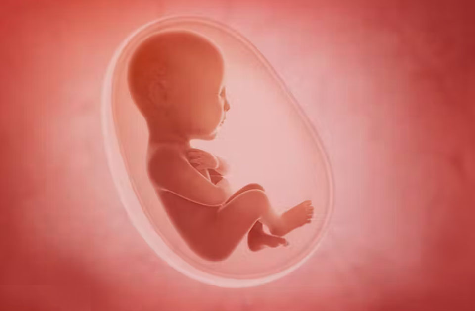 Babies in the womb react differently to flavours: researchers