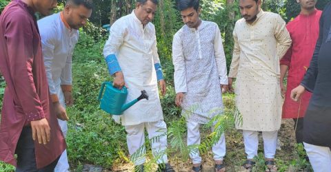 Trees should not only be planted, they need proper care: Helal Akbar Babor
