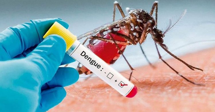 six-dengue-patients-die-869-hospitalized-in-24-hrs