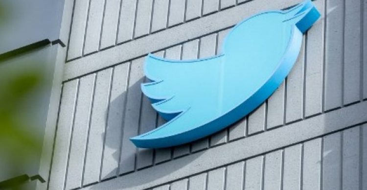 twitter-sacks-half-of-staff-as-musk-launches-overhaul