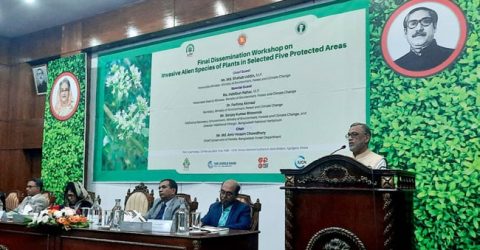 17 invasive plant species identified in 5 protected areas: minister