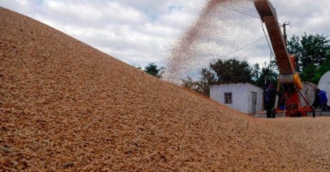 EU minister urges extension of Ukraine grain import ban