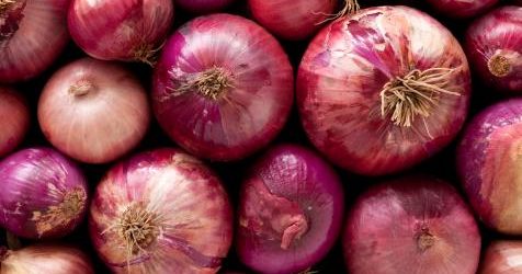 Govt may allow onion import soon: Agri Secretary 