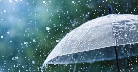 Light to moderate rain likely over parts of country