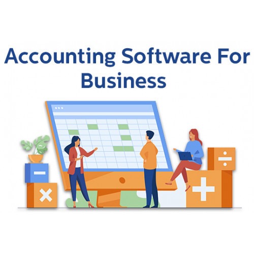 Business Friendly Simple Accounting Software